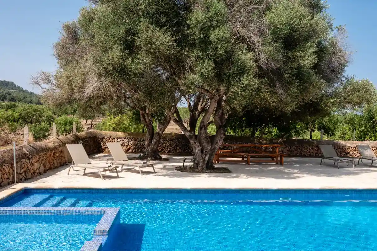 Pool apartment Sa Nau Casa