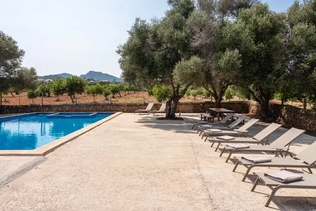 Pool sun loungers apartment Sa Nau Casa