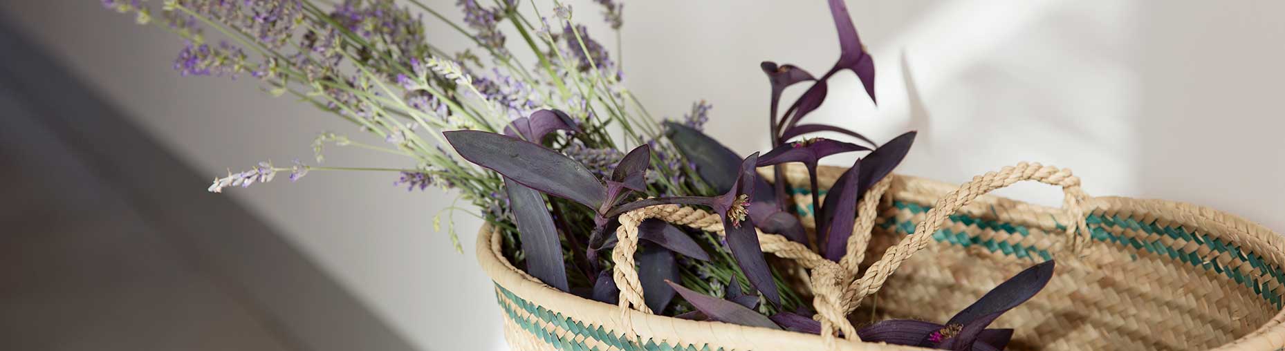 eco sa nau agroturismo 