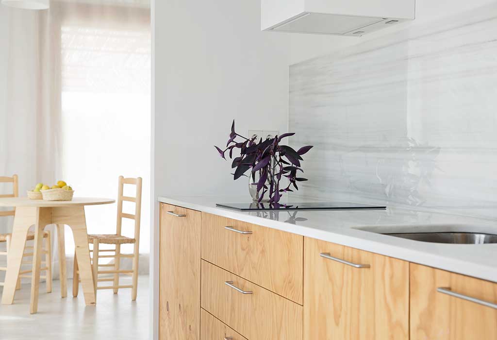 sa nau agroturimo apartamento delux